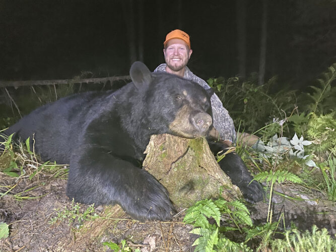 100 years of Michigan bear hunting